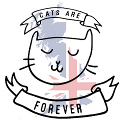 CatsAreForever Британская Мурзилка channel logo
