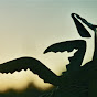 -IxtZEeF0W4-channel-avatar-Thundering Mantis