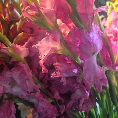 Rajnish Chauhan channel avatar