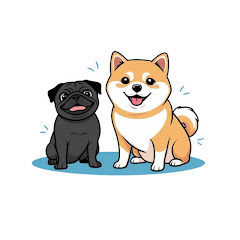 悟空と不二子　ー柴犬&パグの日常ー