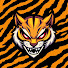 6vtGmNlB0ao-channel-avatar-Techno Tiger