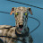 @Alex_18x20's avatar