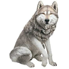 Dartwolf TV