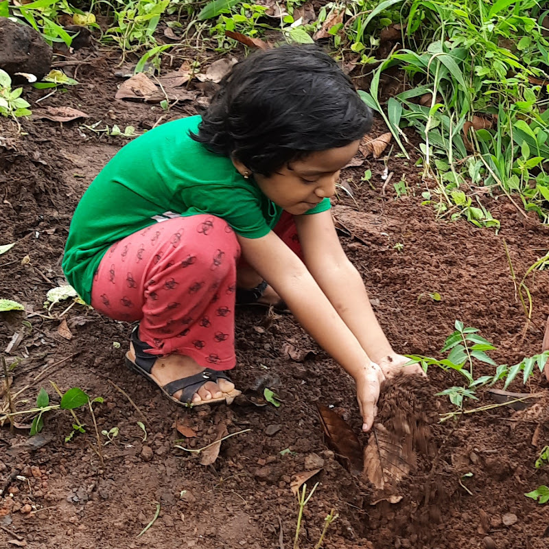 Exploring Fruit Plants with - The Young Gardener