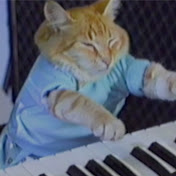 Keyboard Cat!