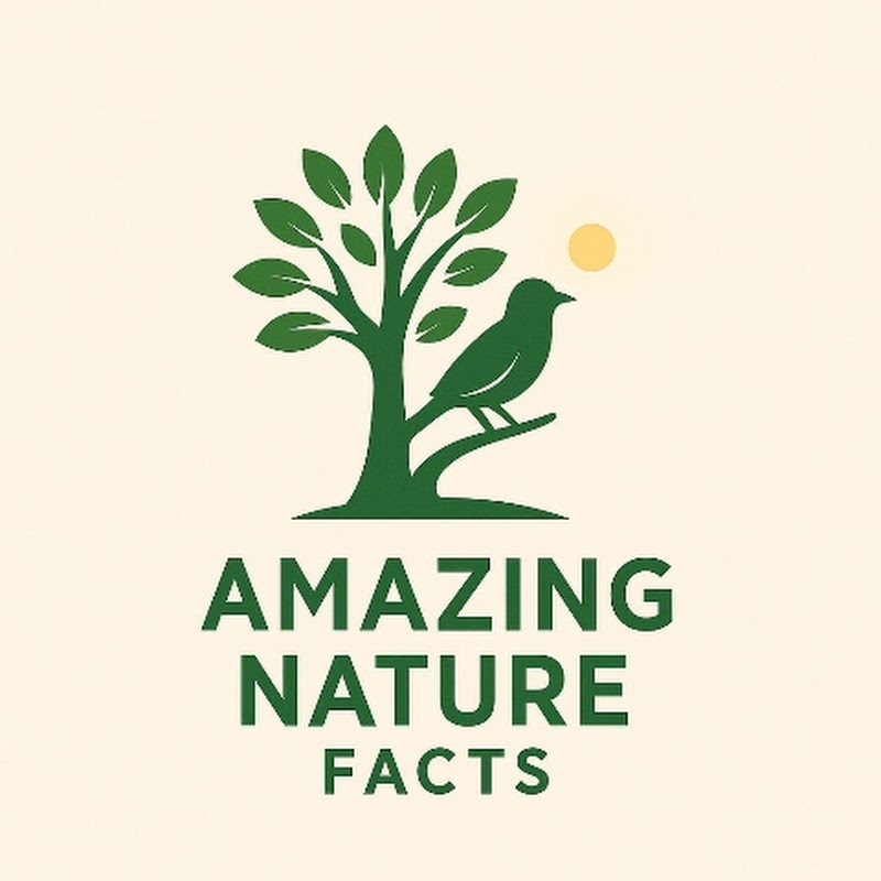 Amazing Nature facts