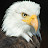 @N1ghtRang3r Avatar