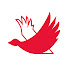 xnDB2PU8Q9g-channel-avatar-Zenkai Goose