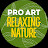 Pro Art Relaxing Nature