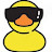 Photo of @Duckman-z1i