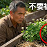 4mRTRY01hIk-channel-avatar-四季农耕录