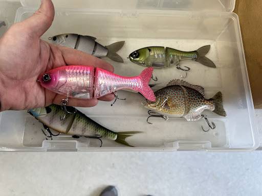 kaz① fish小粒15kg YouTube