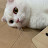 @민수-e6h