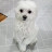 @ahyoungjung-lt4bq
