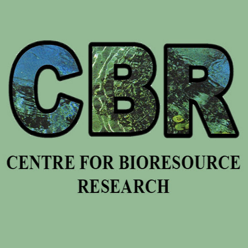 ResearchWatch