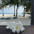 swvesMhd8dQ-channel-avatar-Travel as a lifestyle 