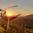 cwxmobUYQyU-channel-avatar-Buscando Vino