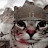 @Burhan-q3l5r