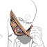 Jv_Ugd9sAec-channel-avatar-Naz