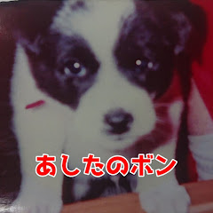 Aしたのボン