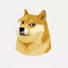 T6M30w2JFOE-channel-avatar-犬川太一のB面観光