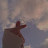 @محمد-ذ3ف7ط