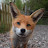 @Vuxchen Avatar