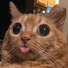 L_hLIgWaKpI-channel-avatar-HispaClips