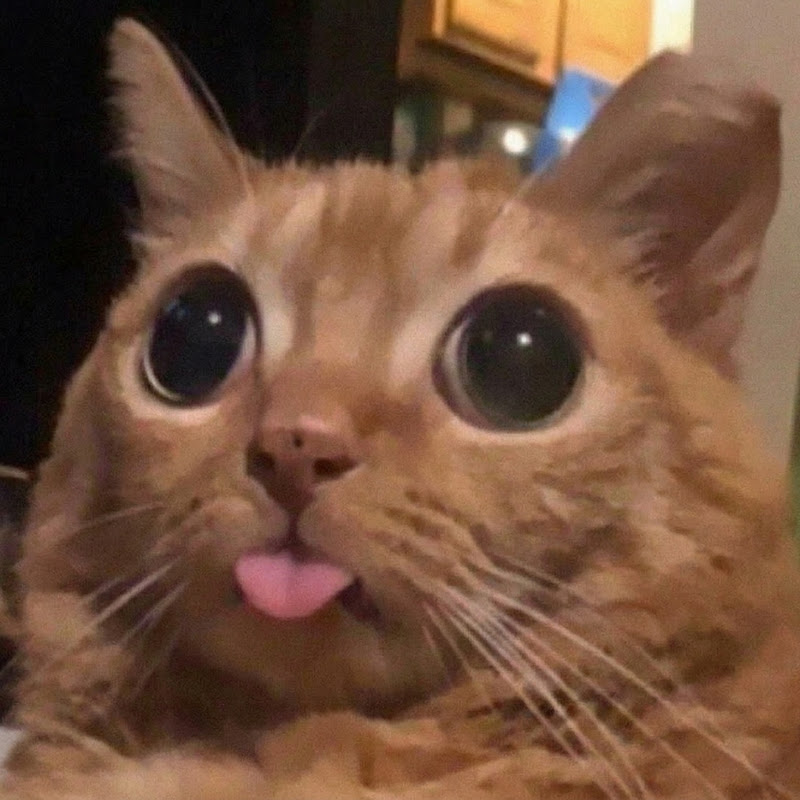 HispaClips