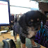 DaJEc0yAEjg-channel-avatar-Crystal Dragon House of Creations (Rita)