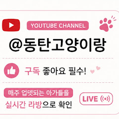 동탄고양이랑(고양이전문캐터리)