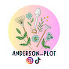Dawn | Anderson Plot