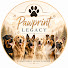 ZHIs5sq2Buk-channel-avatar-Pawprint Legacy