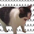 Q_jzd_YHk7k-channel-avatar-ི⌑ • XoX • ⌑ ིྀ
