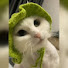 O-rhwSoSyZ8-channel-avatar-Funny Animals Club