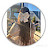 @Noor-b8f1i