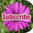 02oLoSDZ5c8-channel-avatar-Simply Awesome Planet