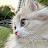 @رۆميَسآء