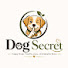 yZ2HC_ED4fM-channel-avatar-DogSecrets •5m views