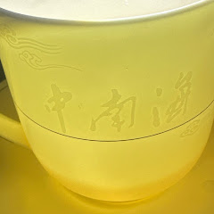 剑指中南海アイコン画像