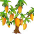 XRMaVFEISoM-channel-avatar-MangosInTrees