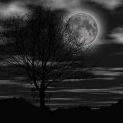 Thumbnail of related channel