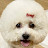 @jejunhyun
