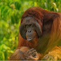 Preservation of Media - Documentaries Avatar