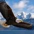 HLLiLj9pRSo-channel-avatar-Eagle in Sky 