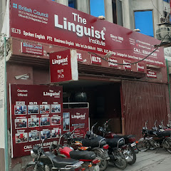The Linguist Institute Avatar