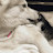 @handle924's avatar
