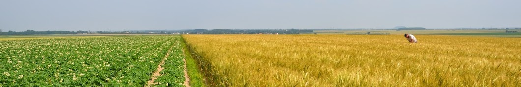 Chambre D Agriculture Du Nord Pas De Calais Youtube