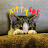 KittySOS