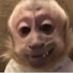 fO9i9zWFjPU-channel-avatar-NOTWEZZIE
